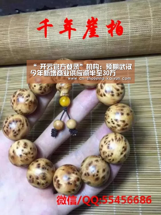 开云体育官网登录